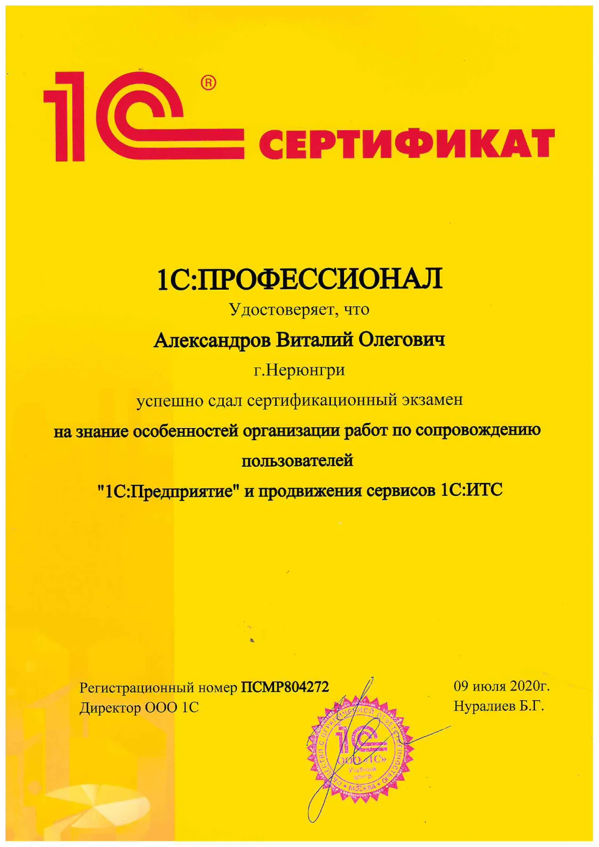 1С:Профессионал — сопровождение пользователей и сервисы 1С:ИТС — Александров В.О.